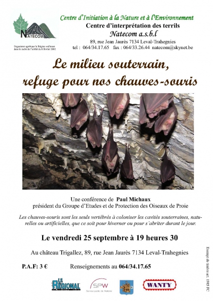 Les chauves-souris 25 septembre 2015.jpg